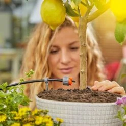 Gardena Solar-Bewässerung Aqua Bloom Set -Garten Quelle 4078500050166 3050 15