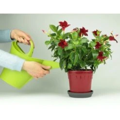 Nutri One Universal-Dünger 1 L Flüssigkonzentrat -Garten Quelle 777015 4652 7