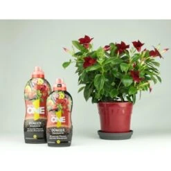 Nutri One Universal-Dünger 1 L Flüssigkonzentrat -Garten Quelle 777015 4652 8